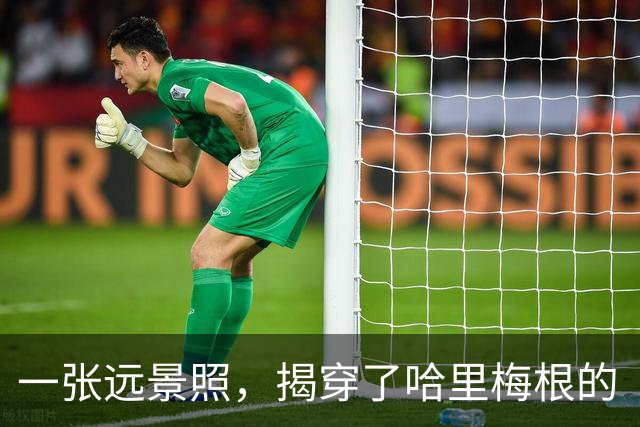 一张远景照，揭穿了哈里梅根的“人山人海”：媒体记者比围观群众还要多