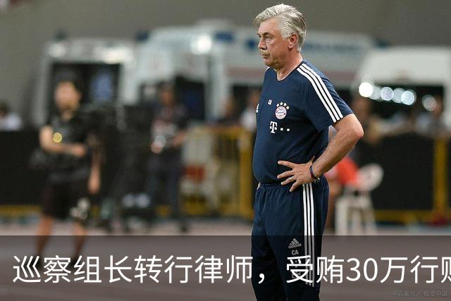 巡察组长转行律师，受贿30万行贿145万，被判4年半