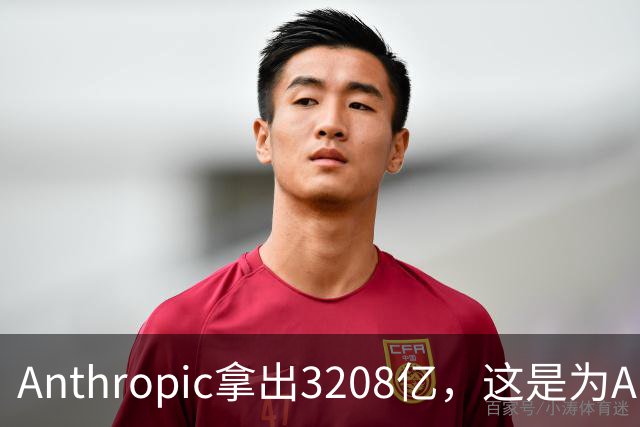 Anthropic拿出3208亿，这是为AI灭世论“买单”吗？